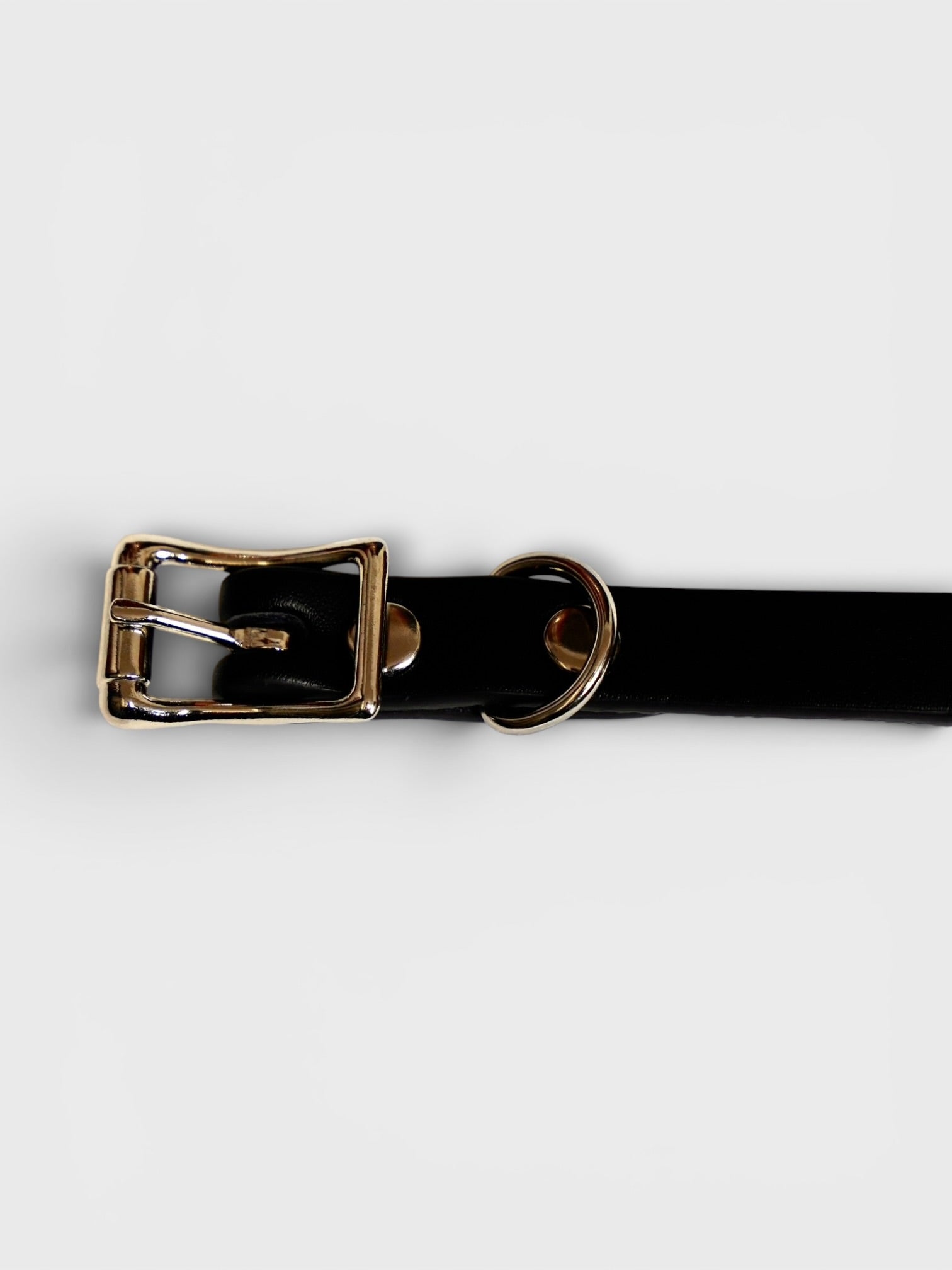 FUNK PLUS Plain Leather Choker 0.5 made in USA【Free】 ファンク 
