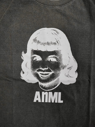미디어 4