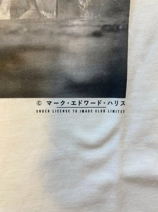 미디어 5